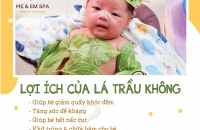 Lợi ích của lá trầu không cho trẻ sơ sinh