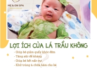 Lợi ích của lá trầu không cho trẻ sơ sinh